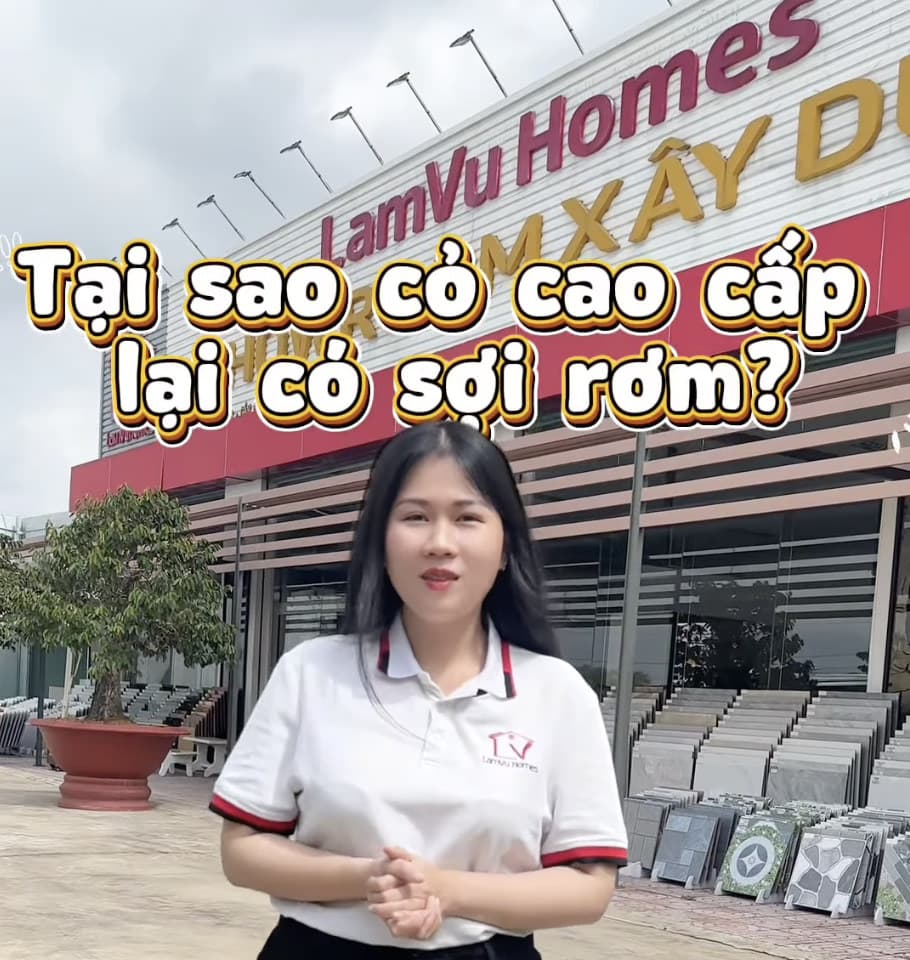 Tại sao cỏ cao cấp lại có sợi rơm?