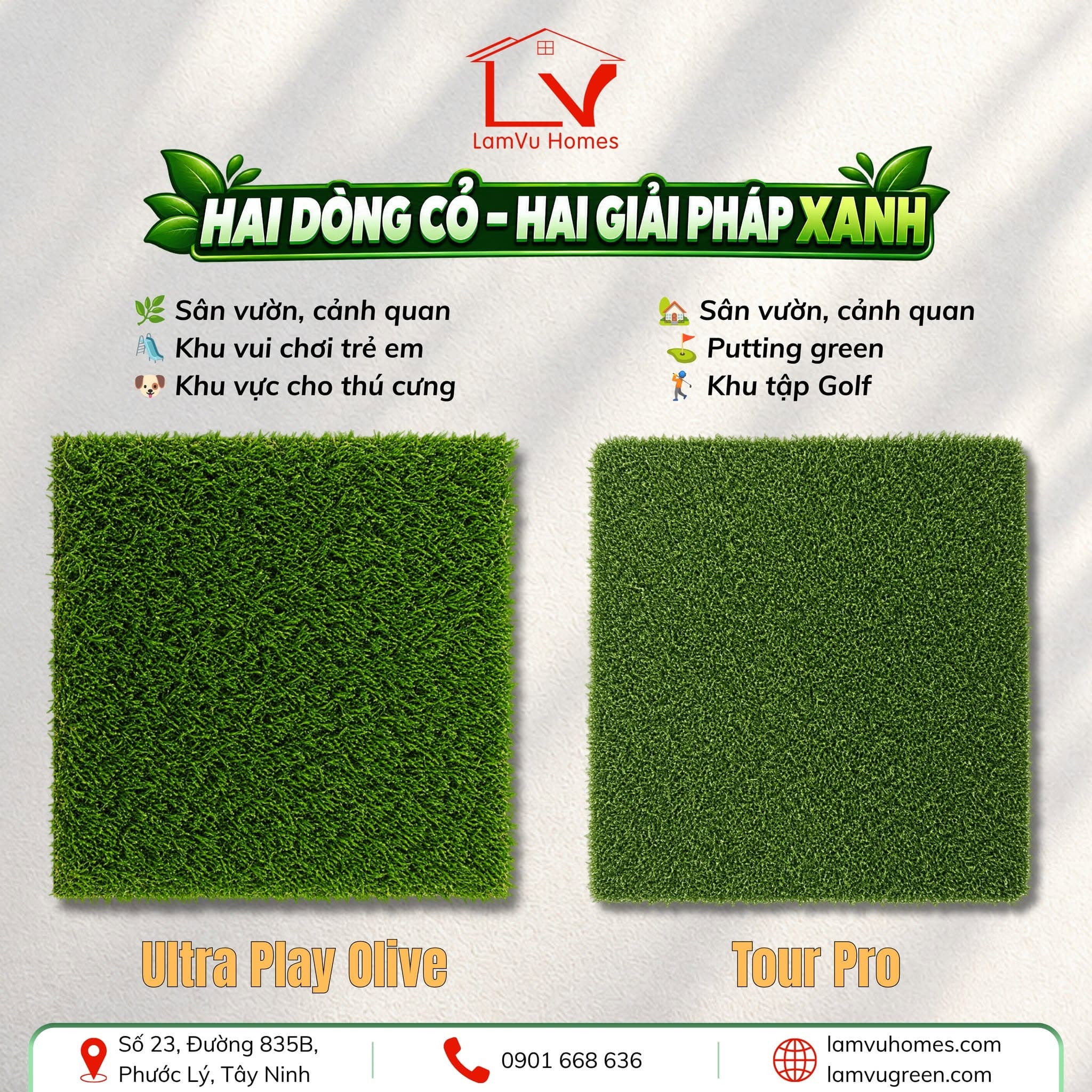 Hai dòng cỏ – hai giải pháp xanh